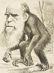 180px-Darwin_ape